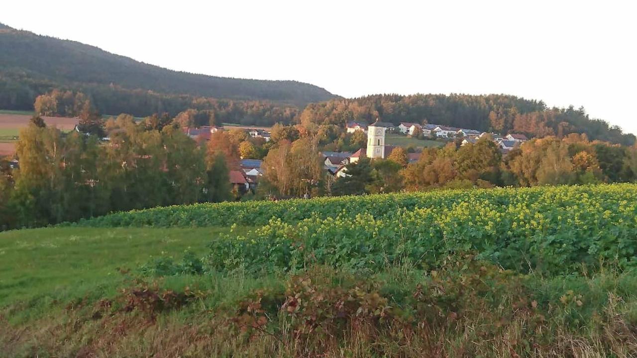 Ferienwohnung Kreuzer Lydia Furth im Wald Luaran gambar